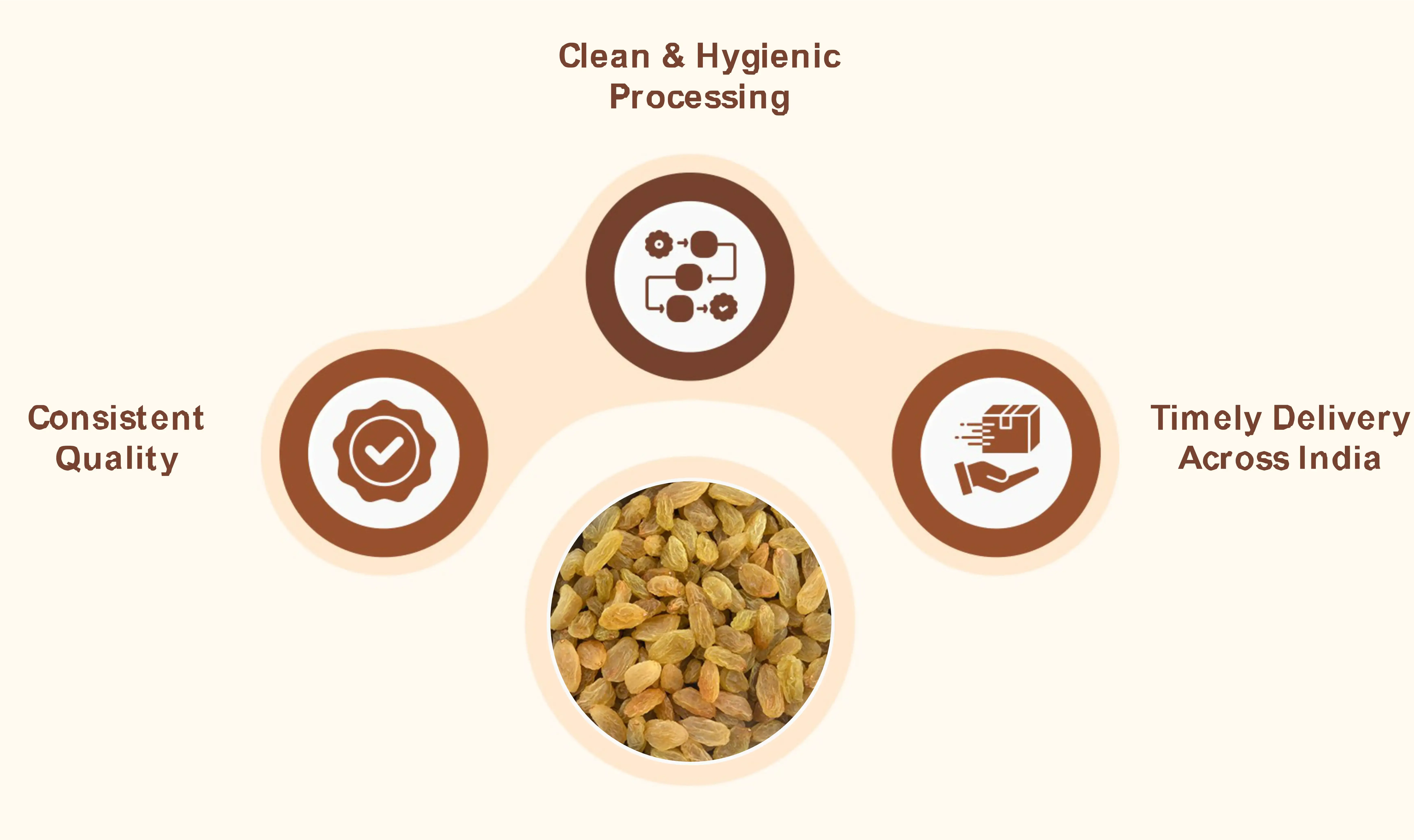 black raisins supplier in india