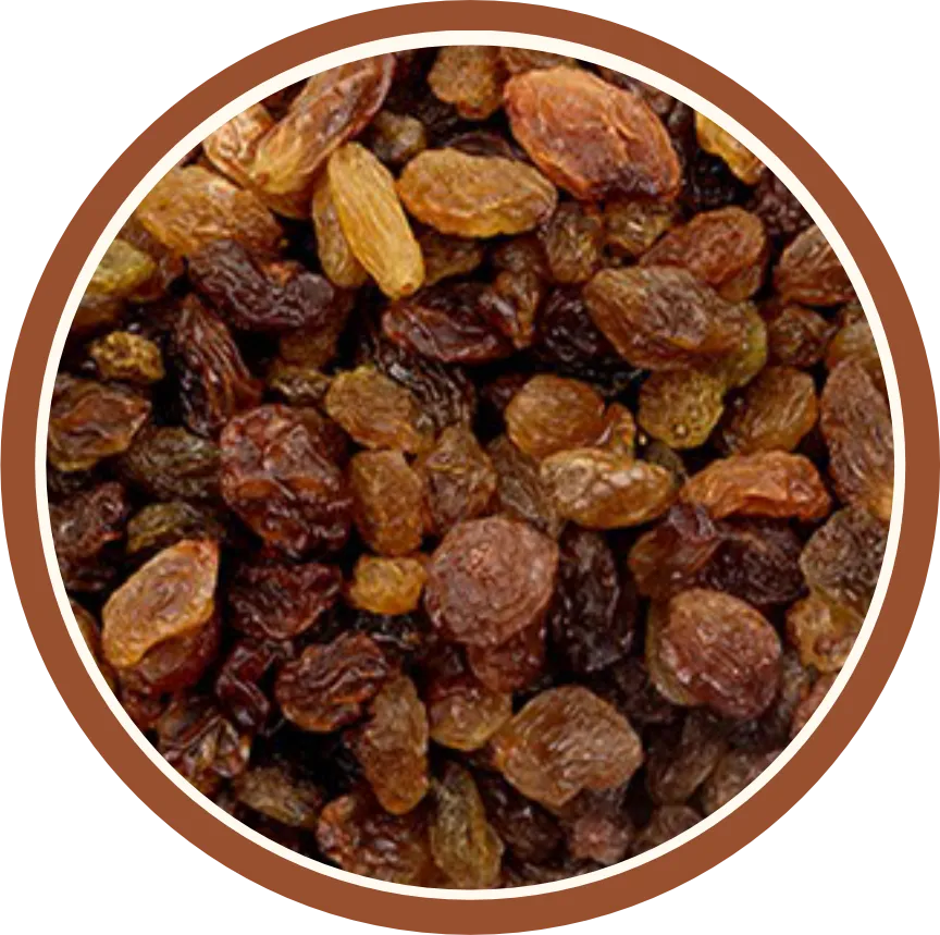 Raisins Manufacturer in India