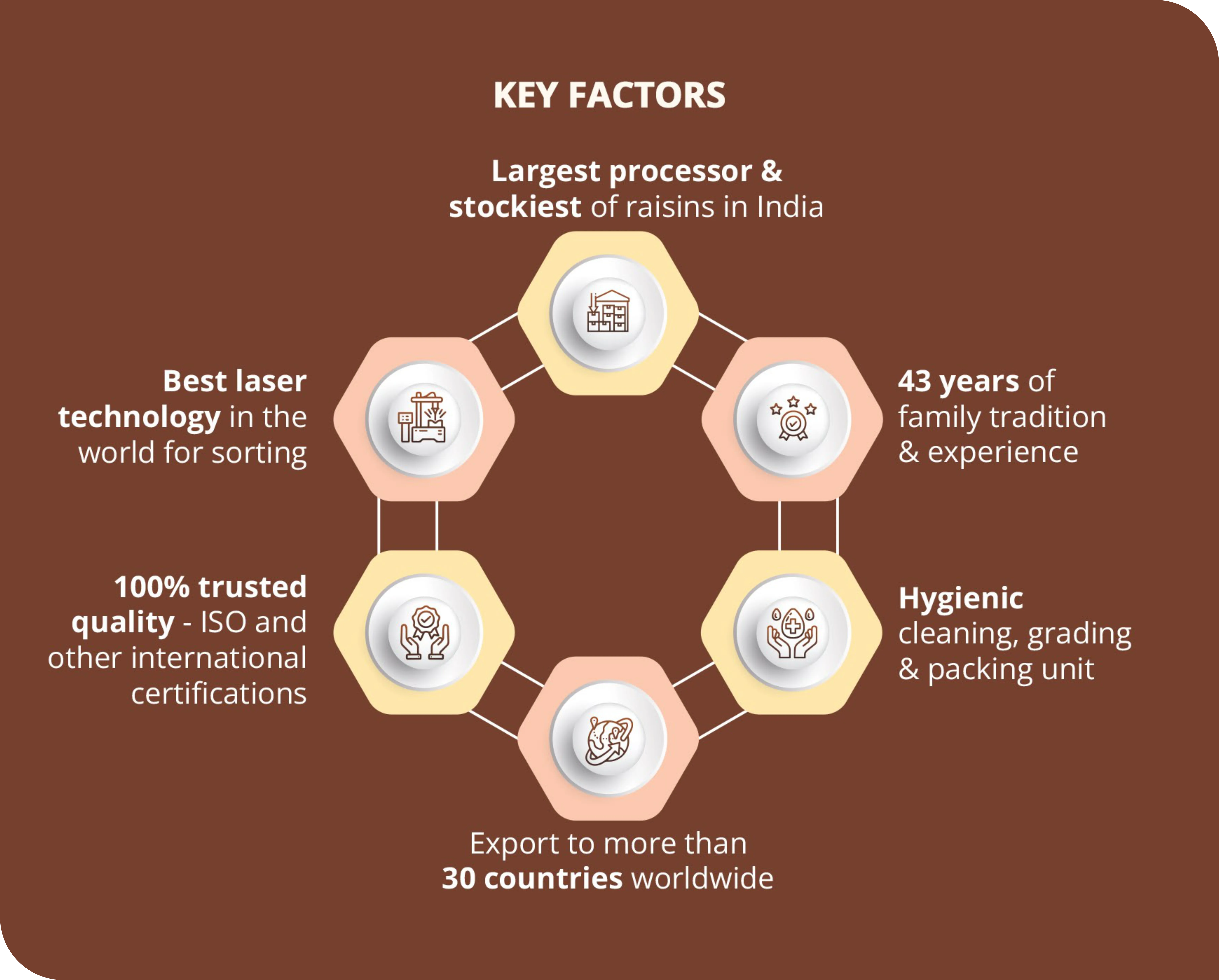 Raisins Manufacturer in India
